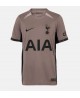 Günstige Tottenham Hotspur Timo Werner #16 3rd trikot 2023-24 Kurzarm